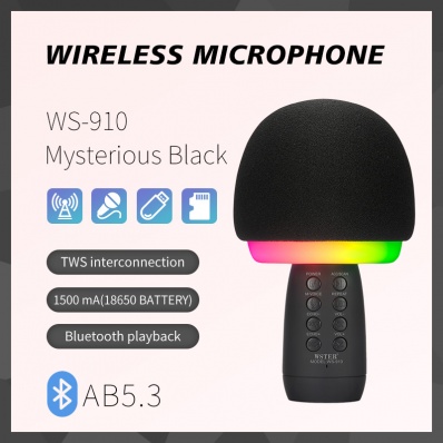 WSTER WS-910 Karaoke-Mikrofon