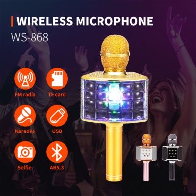 micro karaok&eacute; WSTER WS-868