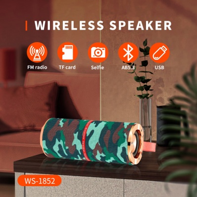 Enceinte Bluetooth WSTER WS-1852