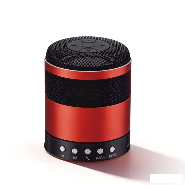 Cassa Bluetooth WS-851 con Radio FM Stereo Doppia, Altoparlante Wireless USB/TF
