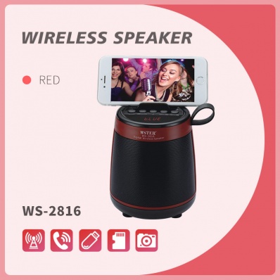 WSTER WS-2816 bluetooth speaker