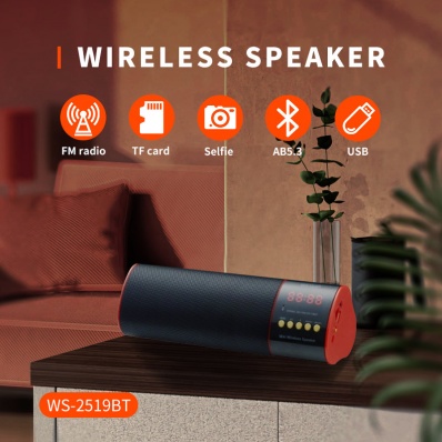 WSTER WS-2519BT bluetooth speaker