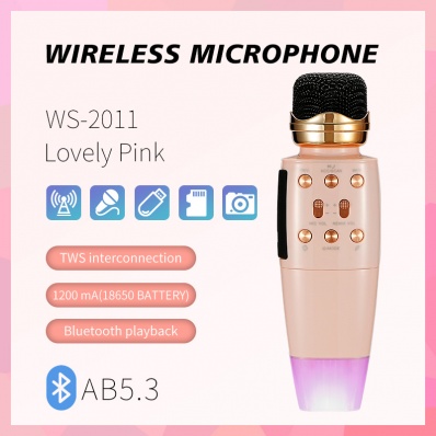 WSTER WS-2011 microfono karaoke
