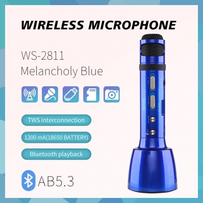 WSTER WS-2811 カラオケマイク