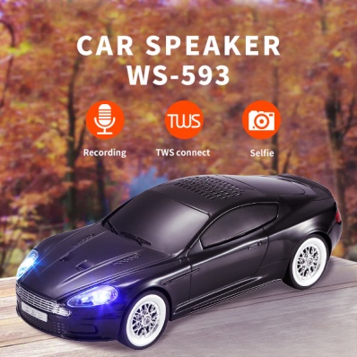 WSTER WS-593 car model bluetooth speaker