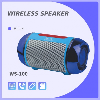 WSTER WS-100 bluetooth-speaker