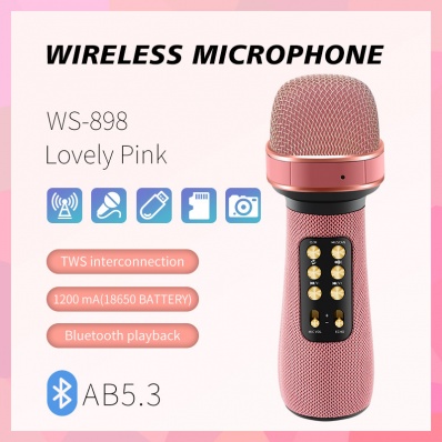Micro karaok&eacute; WSTER WS-898