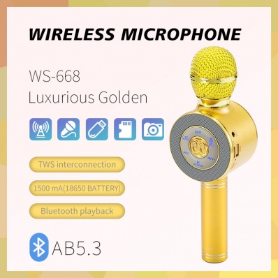 microfono karaoke WSTER WS-668