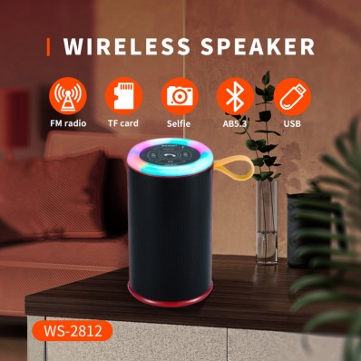 WSTER WS-2812 bluetooth speaker