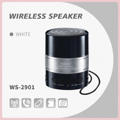 WSTER WS-2901 bluetooth speaker
