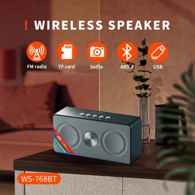 WSTER WS-768BT bluetooth speaker