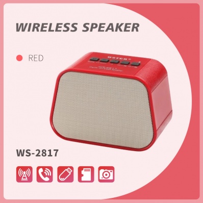 WSTER WS-2817 bluetooth speaker