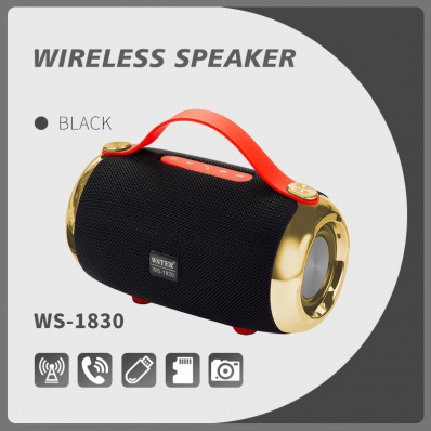 مكبر صوت بلوتوث WSTER WS-1830