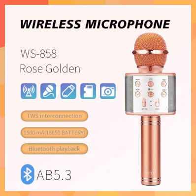 Microfono karaoke WSTER WS-858