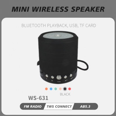 WSTER WS-631 Mini-Bluetooth-Lautsprecher