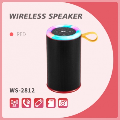 WSTER WS-2812 bluetooth speaker