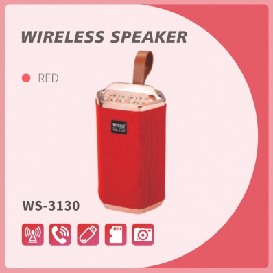 WSTER WS-3130 Bluetooth-Lautsprecher