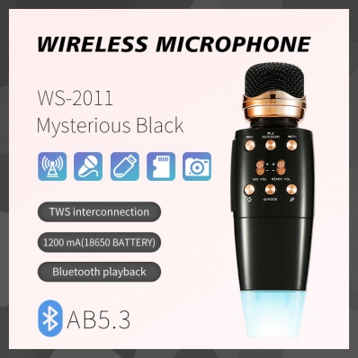 WSTER WS-2011 microfono karaoke