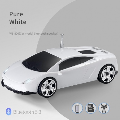 WSTER WS-800 Auto-Modell Bluetooth-Lautsprecher