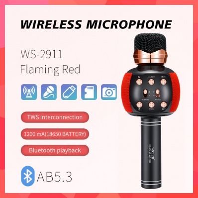 WSTER WS-2911 microfono karaoke