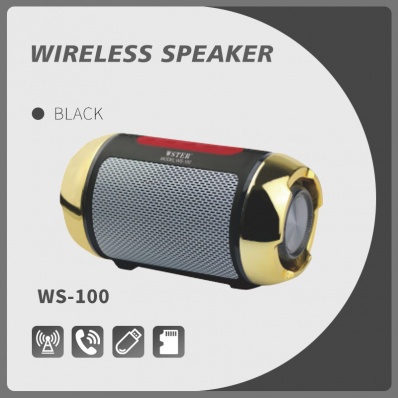 WSTER WS-100 bluetooth-speaker