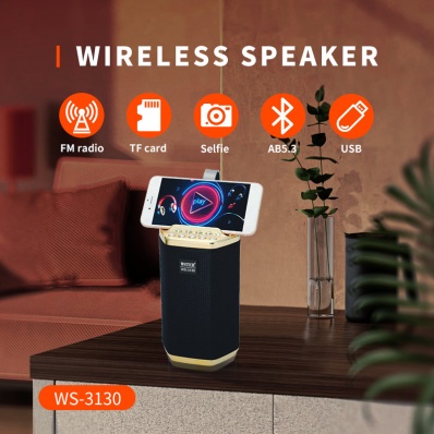 WSTER WS-3130 Bluetooth-Lautsprecher