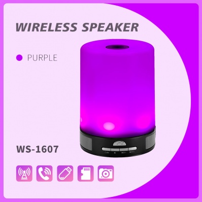 WSTER WS-1607 Bluetoothスピーカー