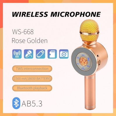 microfono karaoke WSTER WS-668