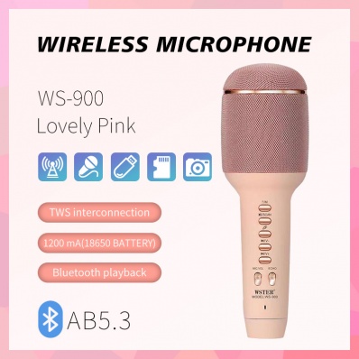 microfono karaoke WSTER WS-900