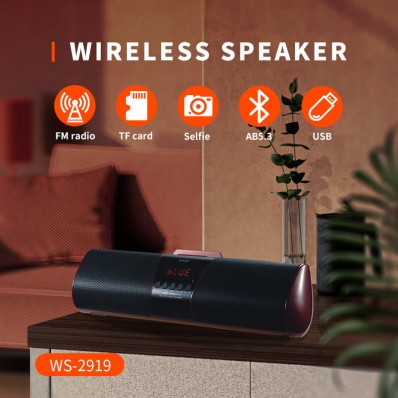 WSTER WS-2919 bluetooth speaker