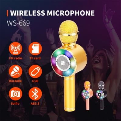 WSTER WS-669 microfono karaoke