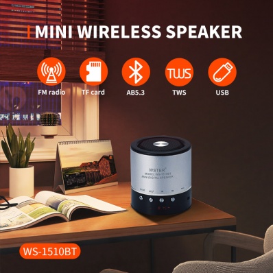 WSTER WS-1510BT Mini-Bluetooth-Lautsprecher