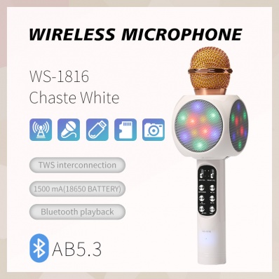 microfone karaok&ecirc; WSTER WS-1816