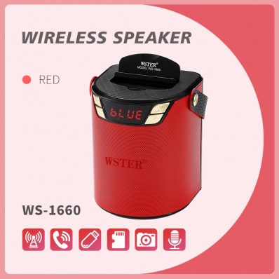 WSTER WS-1660 bluetooth speaker