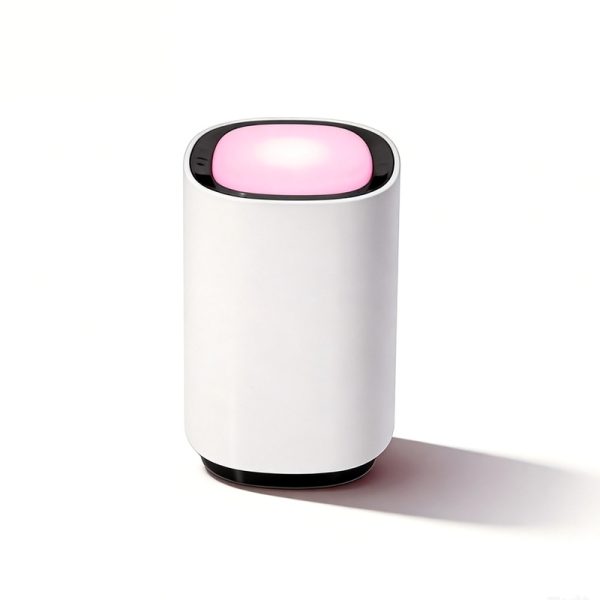 Altoparlante Bluetooth WS-S01 con radio FM stereo doppia, altoparlante wireless USB/TF