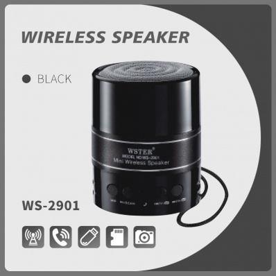 WSTER WS-2901 bluetooth speaker