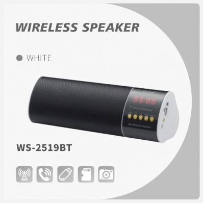 WSTER WS-2519BT bluetooth speaker