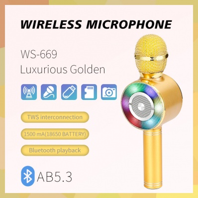WSTER WS-669 microfono karaoke