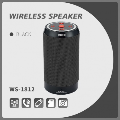 مكبر صوت WSTER WS-1812 بلوتوث