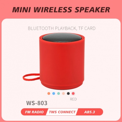 WSTER WS-803 mini bluetooth speaker
