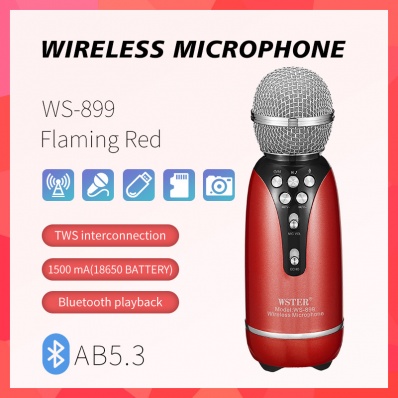 microphone karaok&eacute; WSTER WS-899