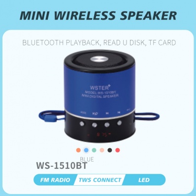 WSTER WS-1510BT Mini-Bluetooth-Lautsprecher