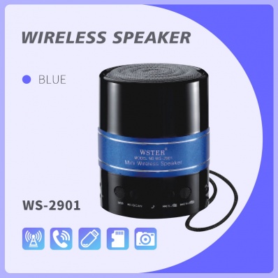 WSTER WS-2901 bluetooth speaker