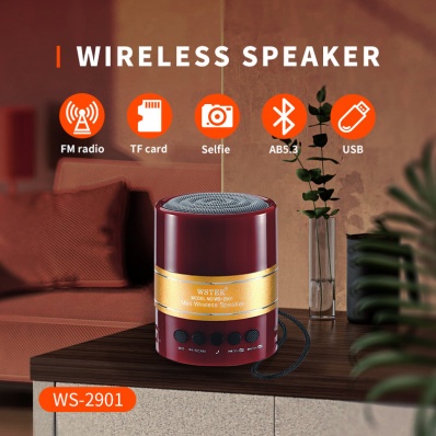 WSTER WS-2901 bluetooth speaker