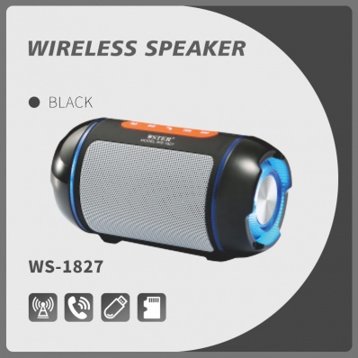 altoparlante bluetooth WSTER WS-1627