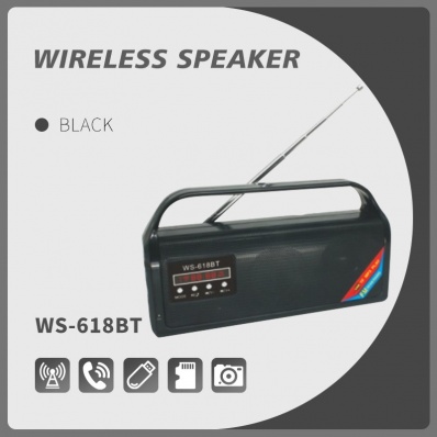 WSTER WS-618BT bluetooth speaker