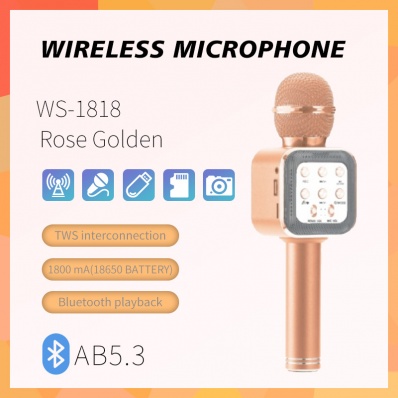 microfone karaok&ecirc; WSTER WS-1818