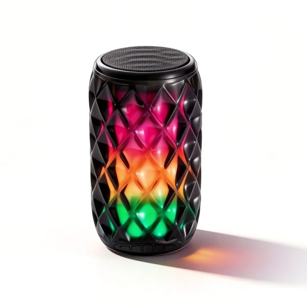 Altoparlante Bluetooth WS-829 con doppia radio FM stereo, altoparlante wireless USB/TF