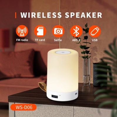 WSTER WS-D06 Bluetooth-Lautsprecher
