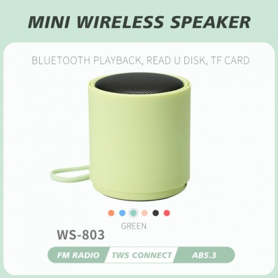 WSTER WS-803 mini bluetooth speaker
